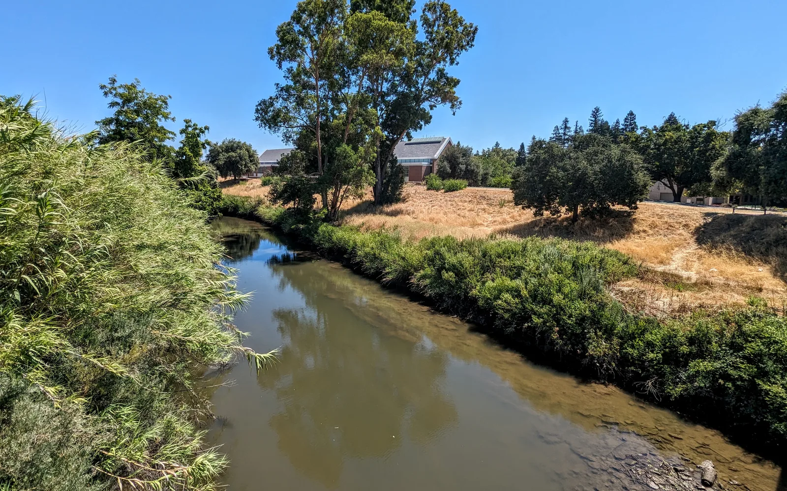 The Calaveras River flowing past the University of the Pacific campus in Stockton, California, viewed from the Baxter Way bridge